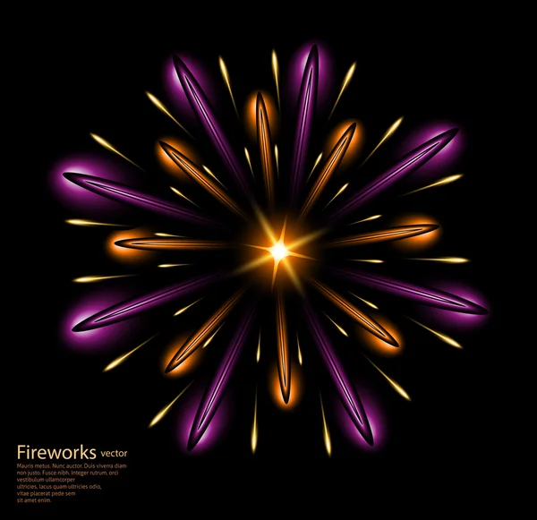 Fireworks violet flower purple vector