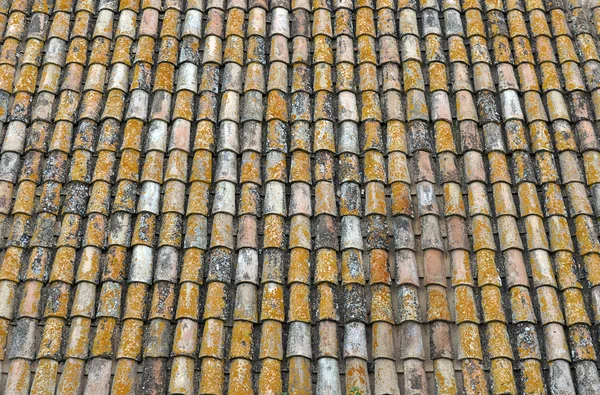 Lichen on roof tiles, old roof with moss