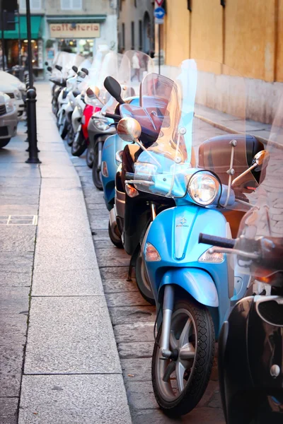 Motorbikes parked in raw