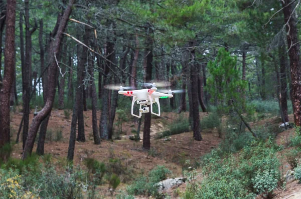 Quadrocopter flying through the forest