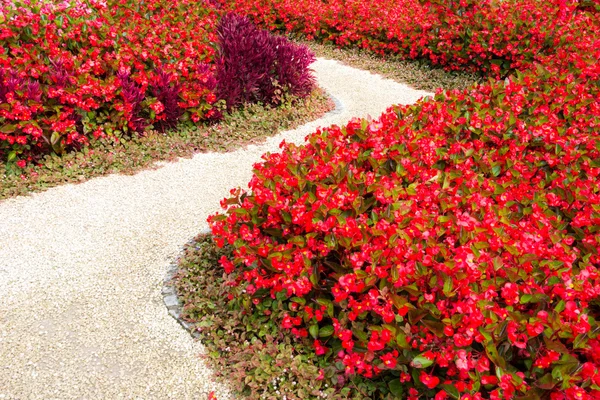 Curved sidewalk through a flower bed