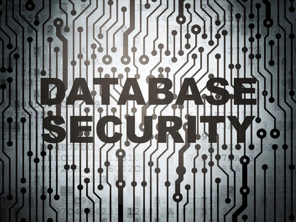 Software concept: circuit board with Database Security