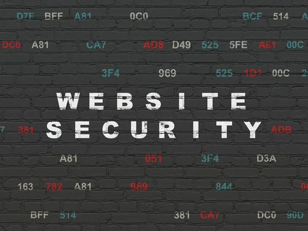 Protection concept: Website Security on wall background