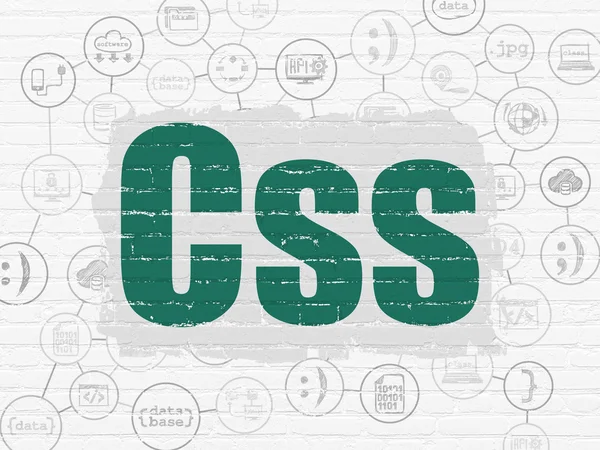 Software concept: Css on wall background