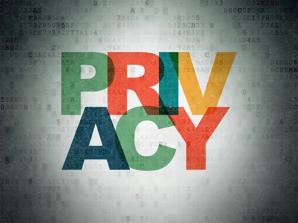 Privacy concept: Privacy on Digital Data Paper background