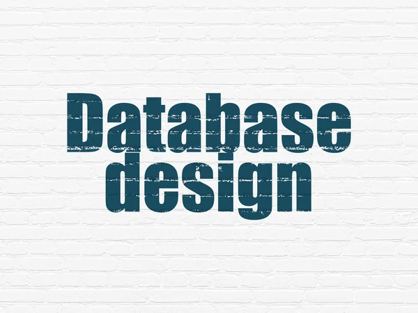 Software concept: Database Design on wall background