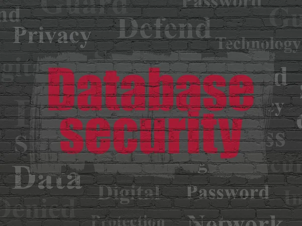 Protection concept: Database Security on wall background