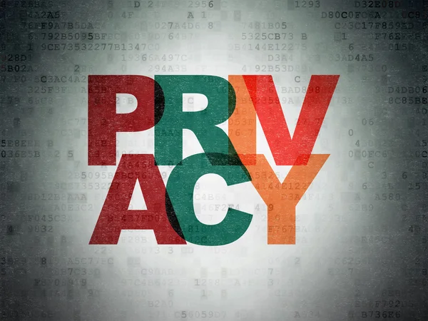 Privacy concept: Privacy on Digital Data Paper background
