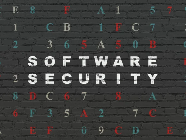 Security concept: Software Security on wall background
