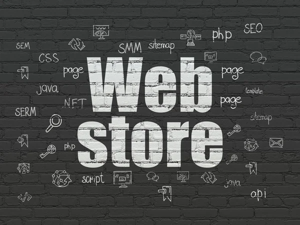 Web development concept: Web Store on wall background