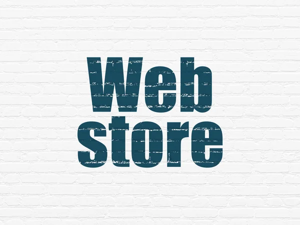 Web design concept: Web Store on wall background