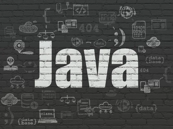 Database concept: Java on wall background