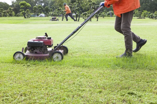 Worker cutting grass field with Lawn mower