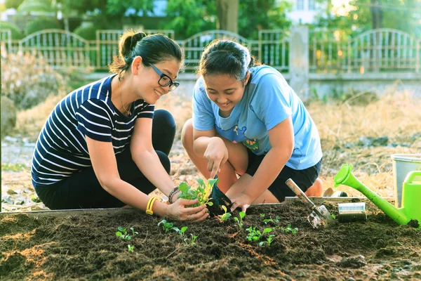 Mother and young daughter planting vegetable in home garden fiel