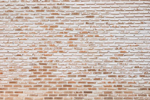 Big old brick wall pattern use as construction background,floor