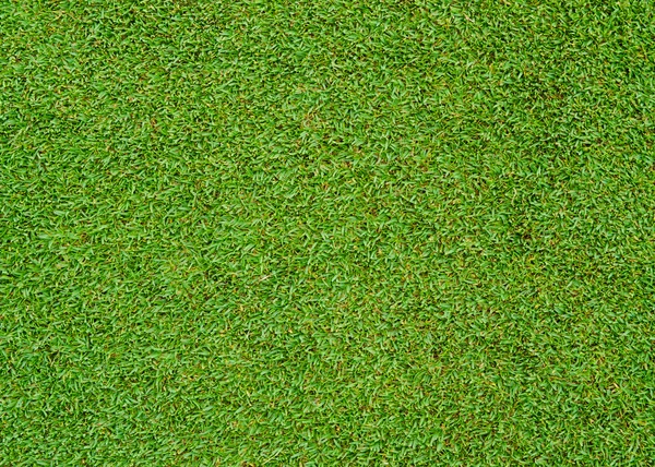 Green grass pattern