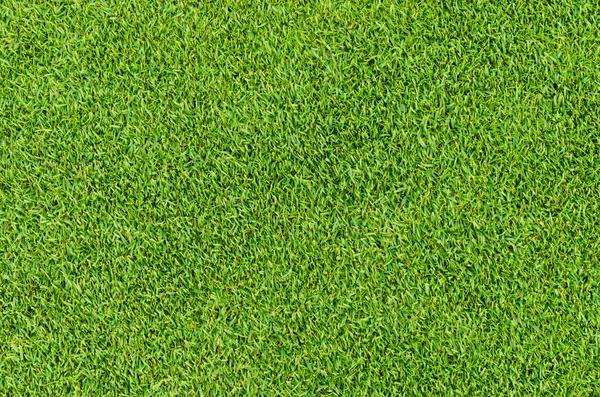 Green Grass Pattern From Golf Course