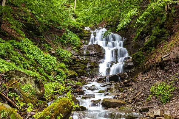 Mountain forest stream with a waterfall.