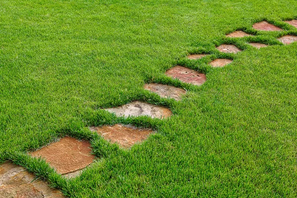 Stone path in green grass as a background