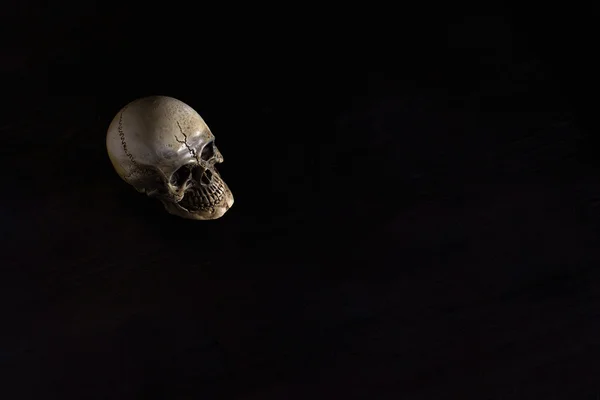 Skull on dark in spot light (Low key)