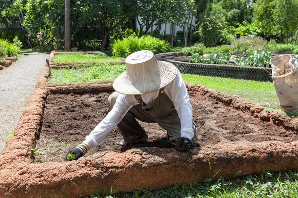 Farmer wearing hat and white shirt is preparing soil for agricul