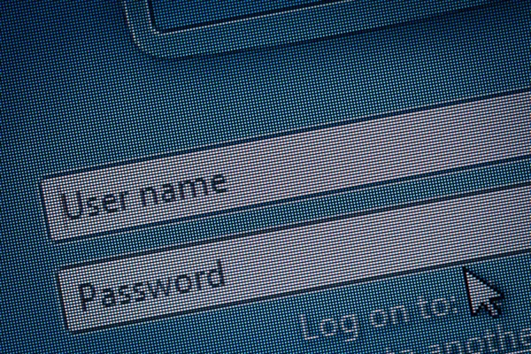 Login User name and password on computer screen and mouse pointe