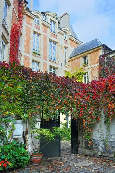 Typical Parisian building with forging gate and colorful fire-thorn bushes