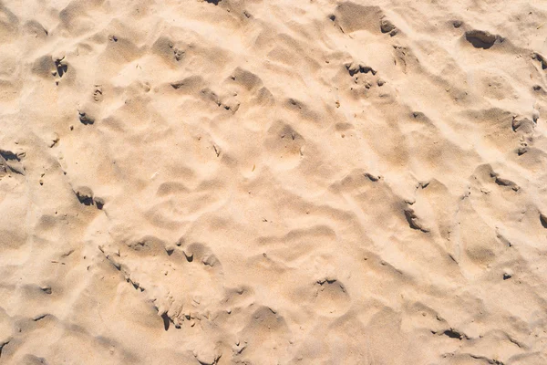 Tropical sand texture