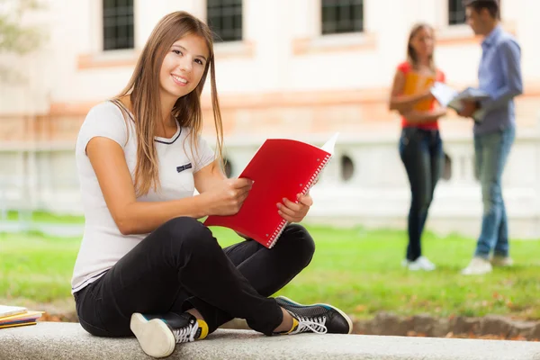 Student reading notebook