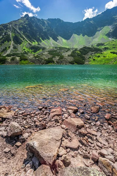 Crystal clear pond in the mountains