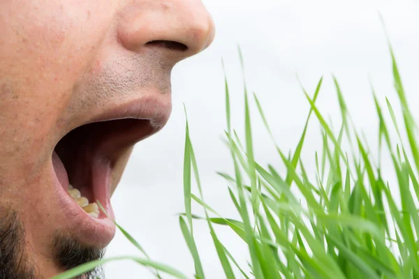 Man with open mouth about to eat wheatgrass, isolated on white.