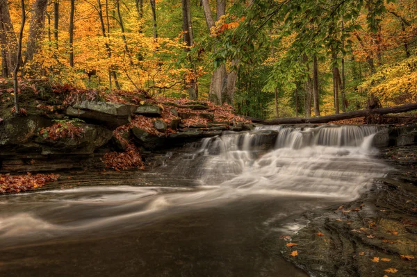 Waterfall In Autumn