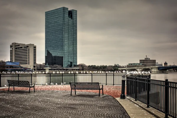 Toledo Ohio City Skyline