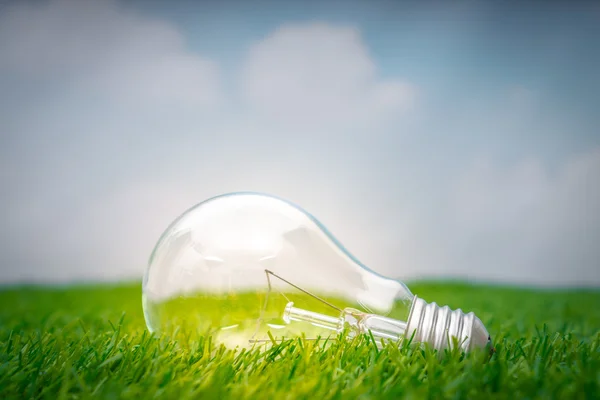 Eco concept - light bulb grow in the grass against blue sky