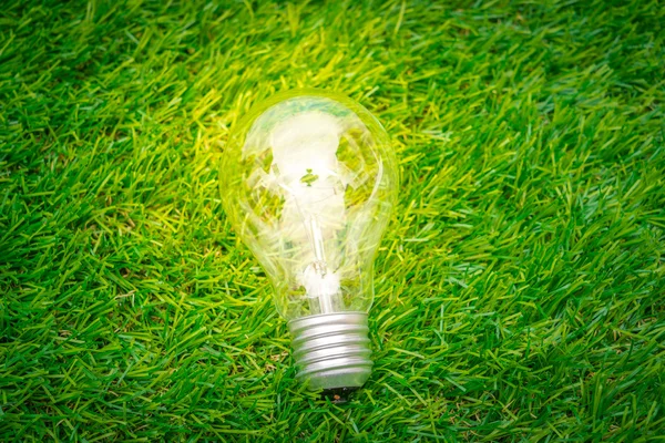 Eco concept - light bulb grow in the gras