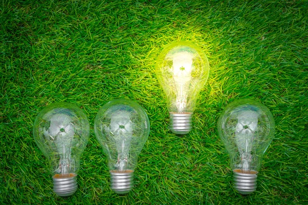 Eco concept - light bulb grow in the gras