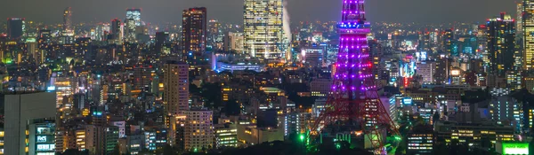 TOKYO - NOVEMBER 26: The Tokyo lights up the skyline on NOVEMBER