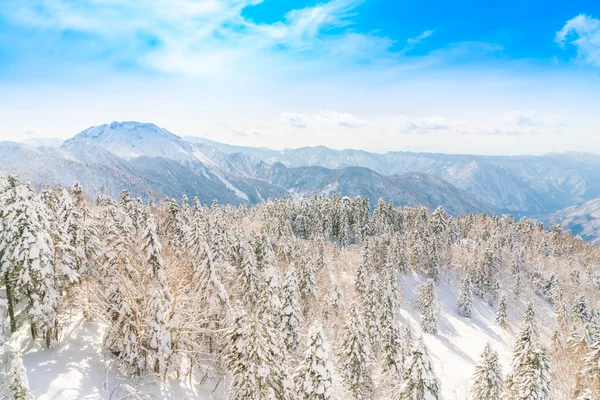 Japan Winter mountain with snow covered