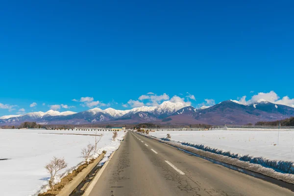 Road to mountain in  Winter ( Japan )