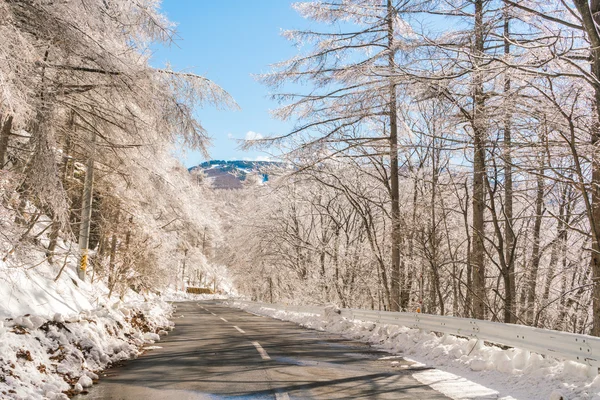 Road to mountain in  Winter ( Japan )