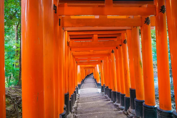 Red Tori Gate at Fushimi Inari Shrine Temple in Kyoto, Japan