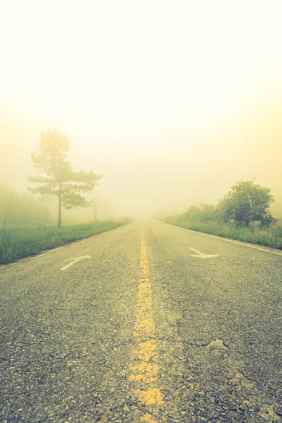 Road in fog with trees ( Filtered image processed vintage effect