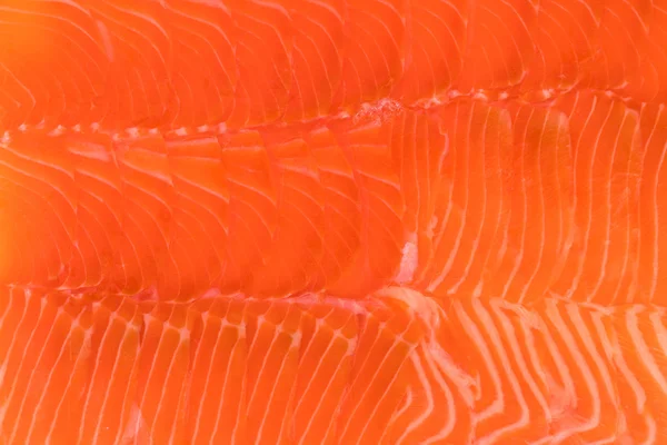 Frozen salmon fillet
