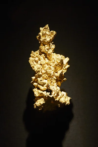 The Latrobe gold nugget on display in London, one of the biggest of its type