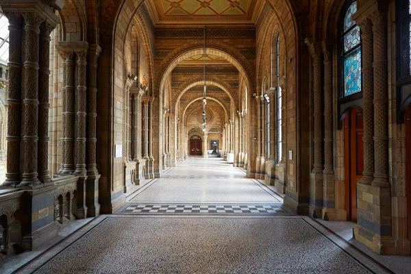 Natural History Museum ancient architecture interior, nobody in London