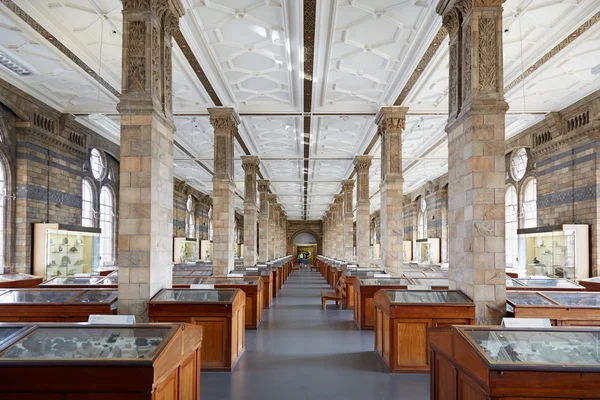 Natural History Museum interior, mineralogy collections in London