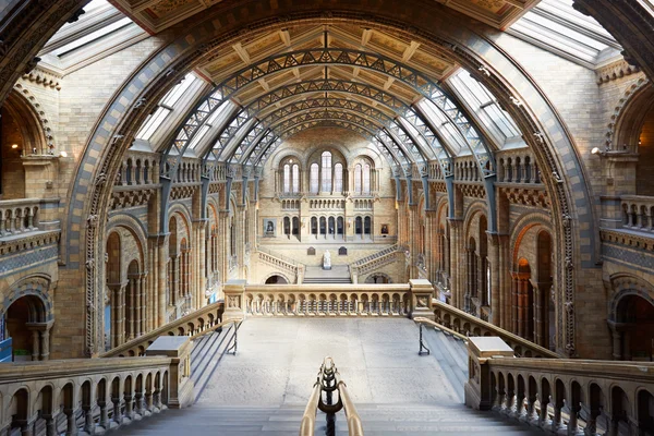 Natural History Museum interior, stairway with arcade view, nobody in London