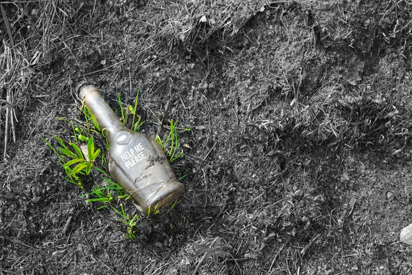 Glass bottle in the forest Environment problem concept