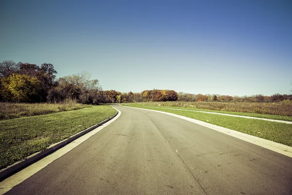 Asphalt road in real estate subdivision