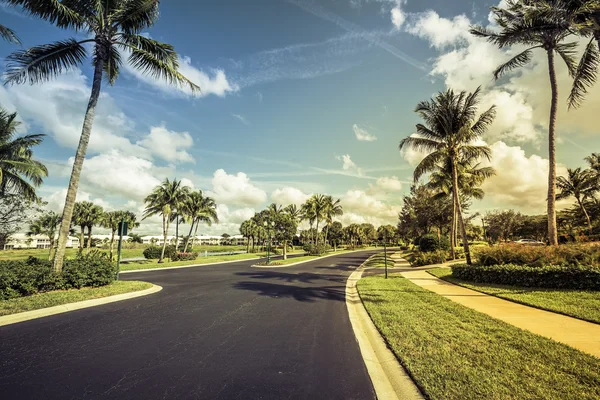 Gated community road and condominiums